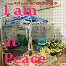 【HEY! Mrs ROSE】2024SS COLLECTION