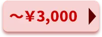 \3,000以下
