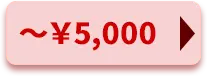 \5,000以下