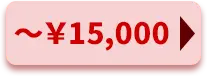 \15,000以下